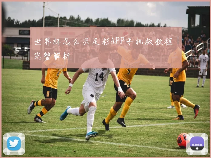 世界杯怎么买足彩APP手机版教程｜完整解析