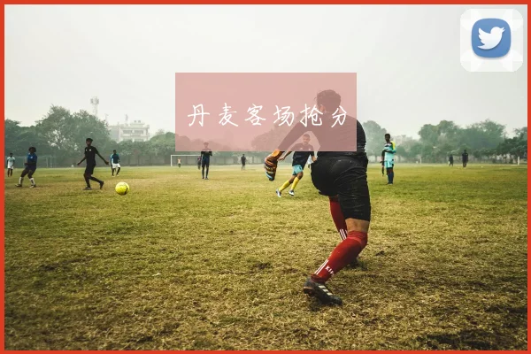 丹麦客场抢分