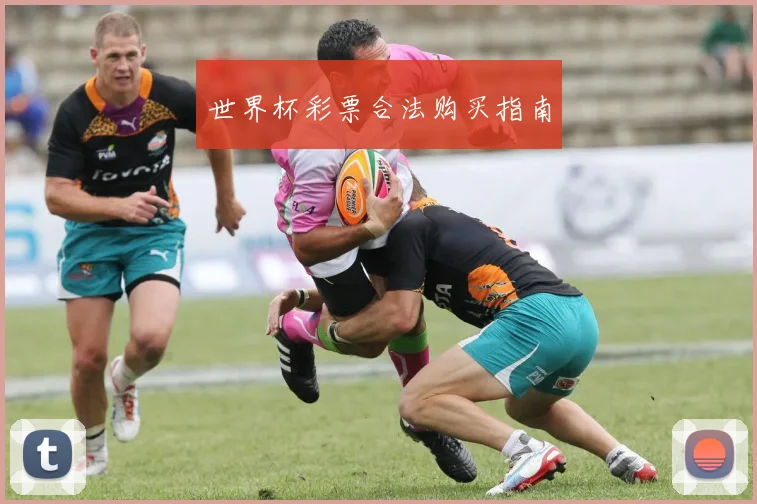 世界杯彩票合法购买指南