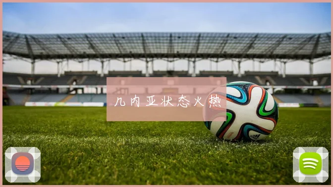 几内亚状态火热