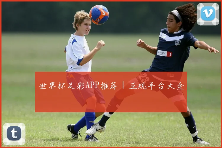世界杯足彩APP推荐｜正规平台大全