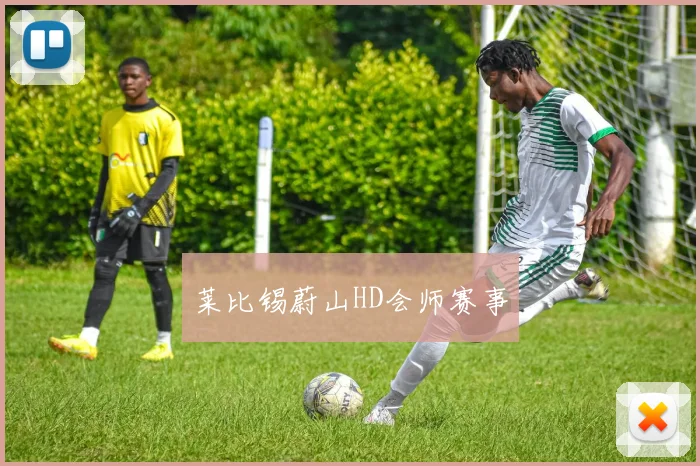 莱比锡蔚山HD会师赛事