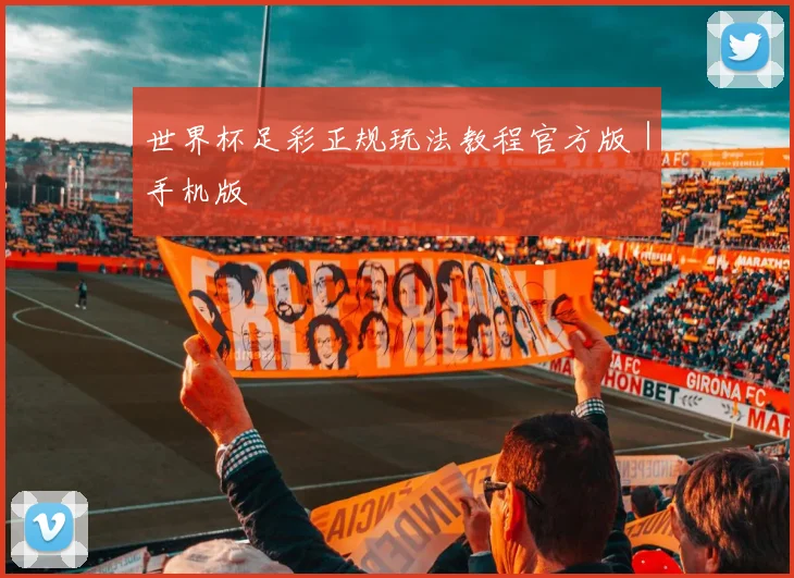 世界杯足彩正规玩法教程官方版｜手机版