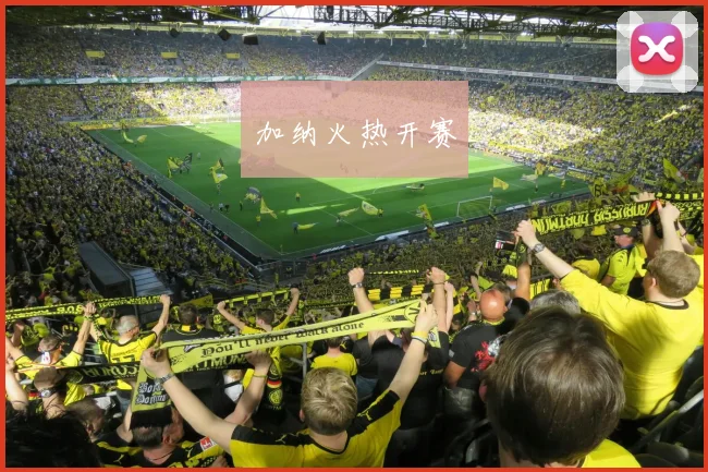 加纳火热开赛