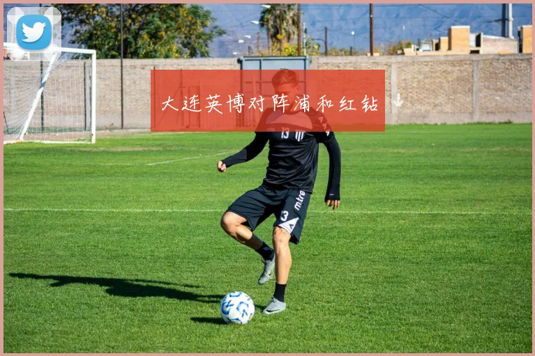 大连英博对阵浦和红钻